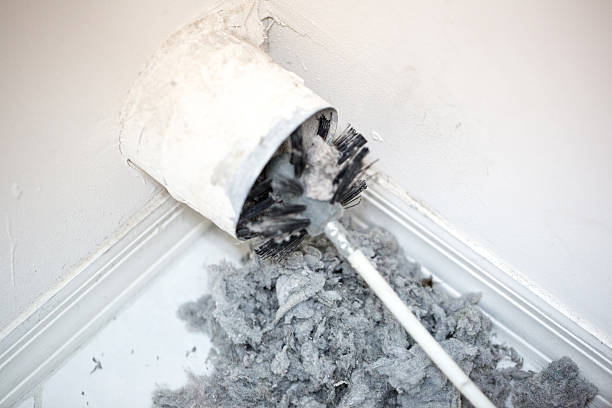 Best Home Air Vent Cleaning  in Desert Edge, CA