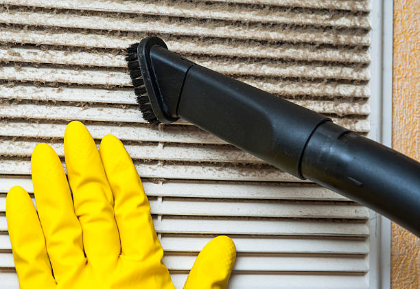 Best HVAC Duct Inspection Services  in Desert Edge, CA